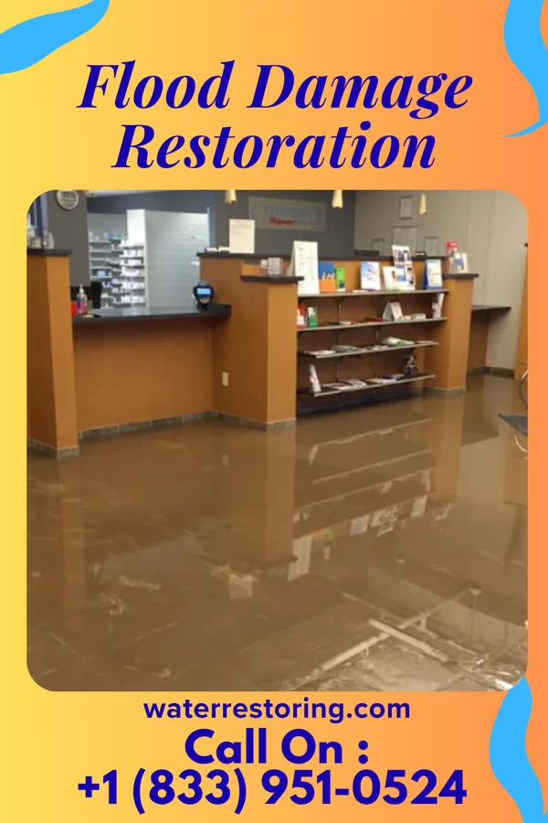 Flood Damage Restoration in Okauchee Lake, WI