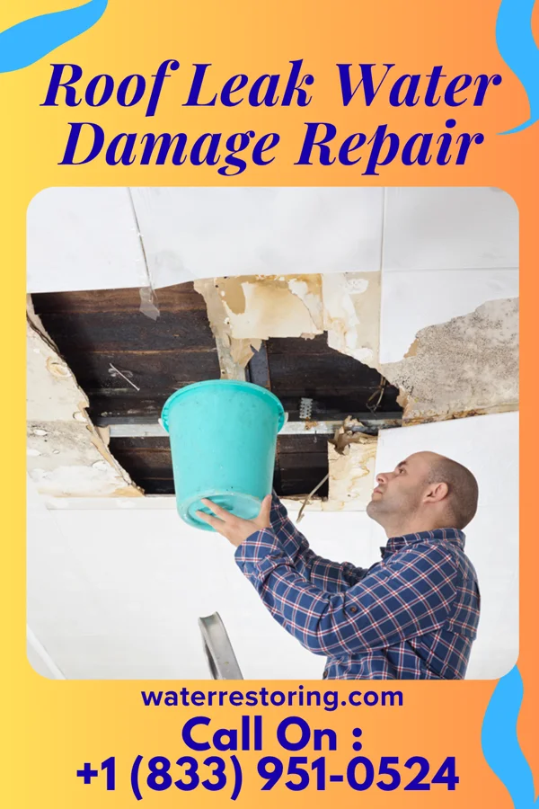 Roof Leak Water Damage Repair in Okauchee Lake, WI